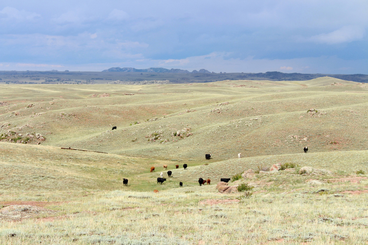 AW_056_073_Wyoming_06.jpg