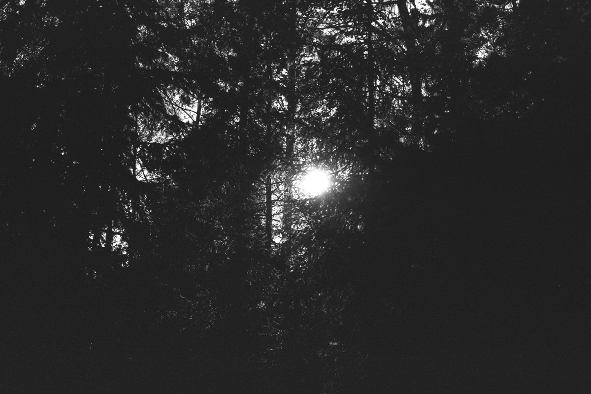 In Sweden_07.jpg