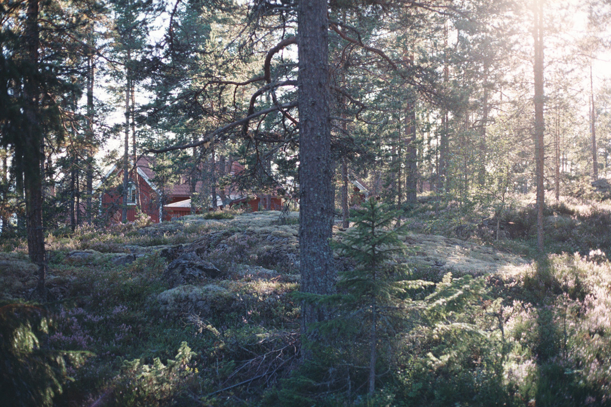 Swe_010.jpg